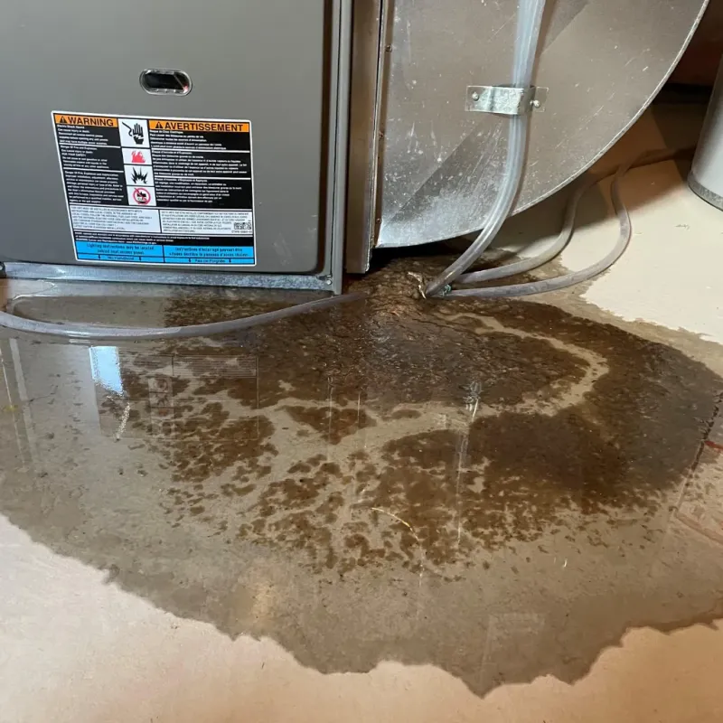 Appliance Leak Cleanup in LaGrange County, IN