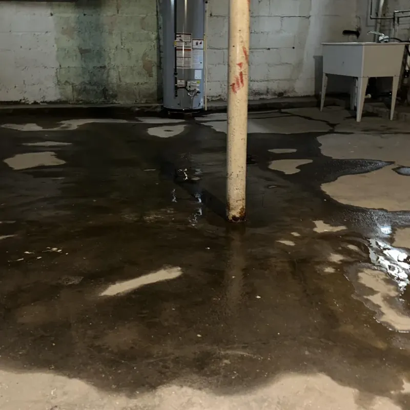Emergency Water Extraction And Removal in LaGrange County, IN